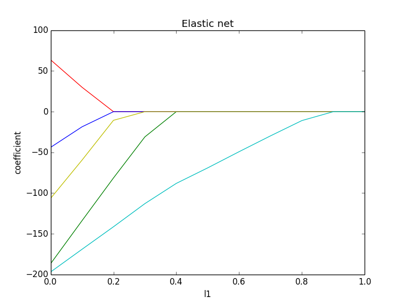 l1 Coefficient magnitude